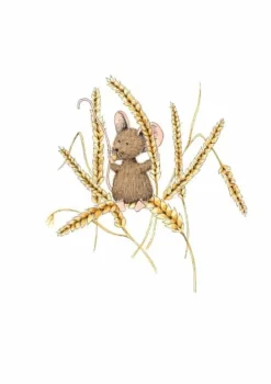 Anillustration Ansichtkaart Muis op tarwe