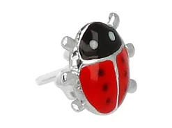 BB Klostermann Oorbel Echt Zilver