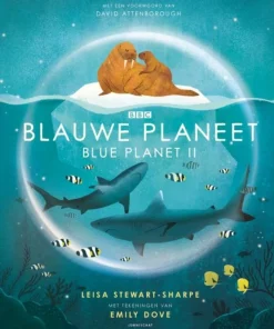 Lemniscaat Blauwe Planeet Blue Planet II