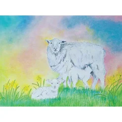 Brechtje Duijzer Ansichtkaart Schaap met Lammetjes