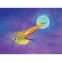 Brechtje Duijzer Ansichtkaart Uil bij Volle Maan