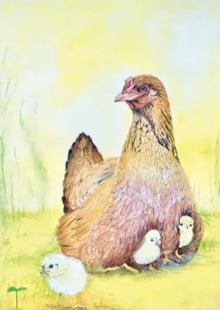 Brechtje Duijzer Ansichtkaart Kip met Kuikens