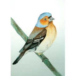 Brechtje Duijzer Ansichtkaart Vink