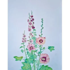 Brechtje Duijzer Minikaartje Stokroos