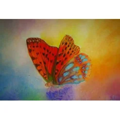 Brechtje Duijzer Wenskaart Parelmoervlinder