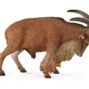 Collecta Barbarijs Schaap 88683