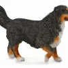 Collecta Berner Sennenhond 88801