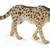 Collecta Koning Cheetah 88608