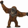 Collecta Orang-Oetan 88730