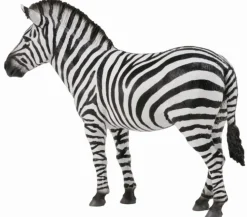 Collecta Steppezebra 88830