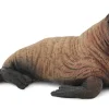 Collecta Walruskalf 88570