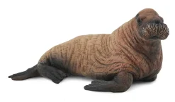 Collecta Walruskalf 88570