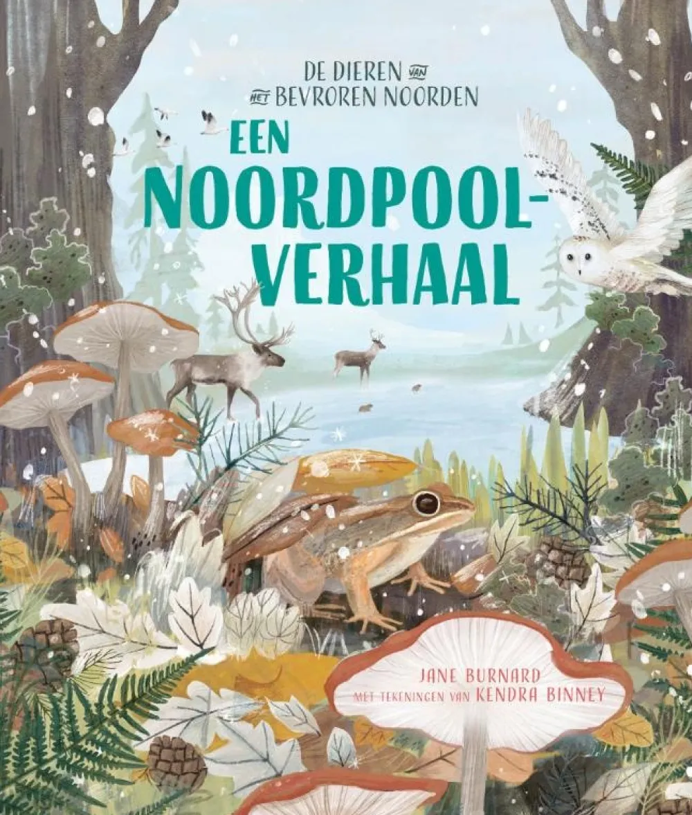 Lemniscaat Een Noordpoolverhaal