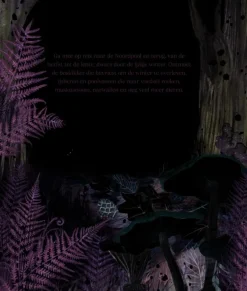 Lemniscaat Een Noordpoolverhaal