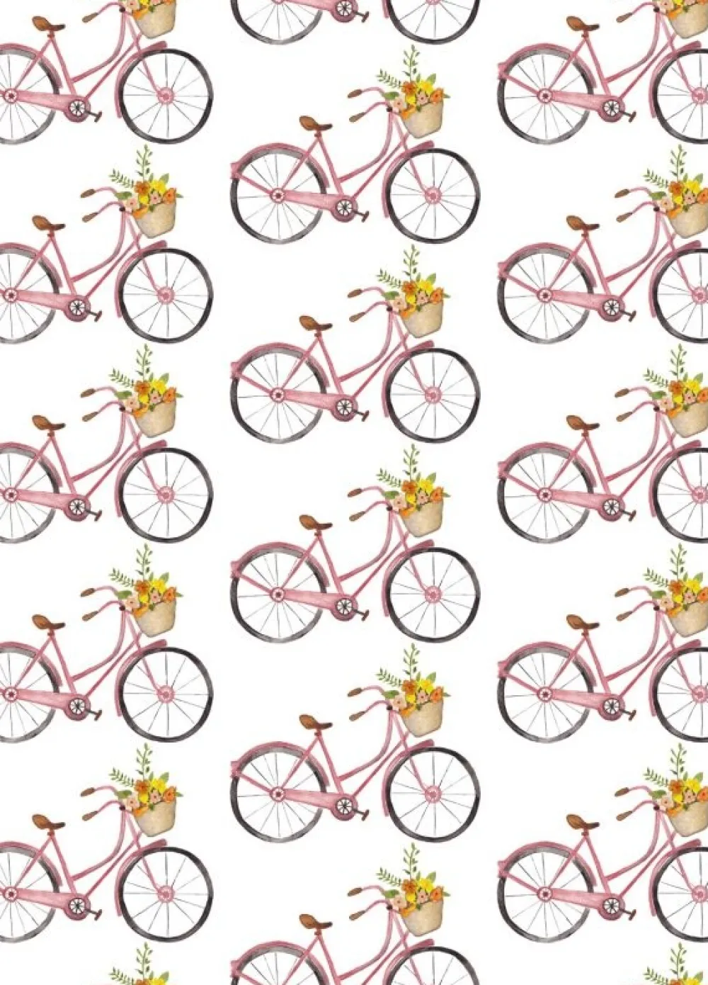 Fritsy Postkaart Fietsen