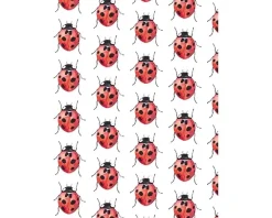 Fritsy Postkaart Lieveheersbeestjes