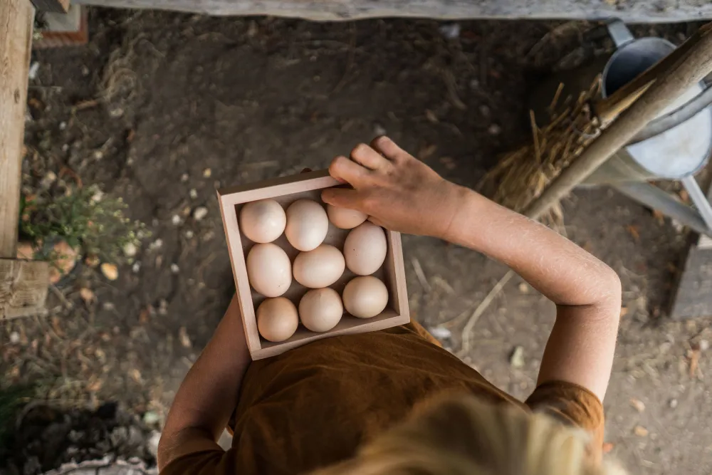 Grapat Houten Opbergkistje 22-239