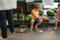 Grapat Mandala Pompoenen 23-252