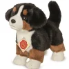 Hermann Teddy Knuffel Berner Sennenhond Puppy