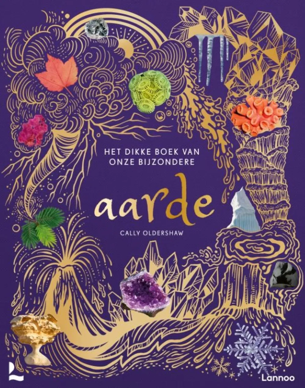 Houtendiershop Het dikke boek van onze bijzondere aarde