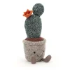 Jellycat Knuffel Cactus Silly Succulent Prickly Pear