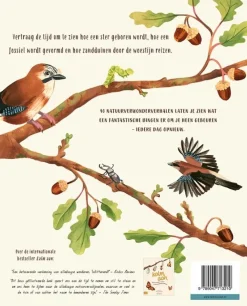 Lemniscaat Kalm aan … en kijk om je heen