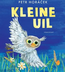 Lemniscaat Kleine Uil