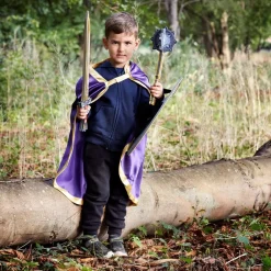 Liontouch  Ridder Gouden Adelaar Schild