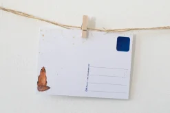 Lotte Drouen Ansichtkaart Sterren Kijken