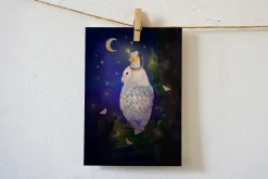 Lotte Drouen Ansichtkaart Sterren ophangen in de nacht