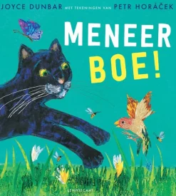 Lemniscaat Meneer Boe!