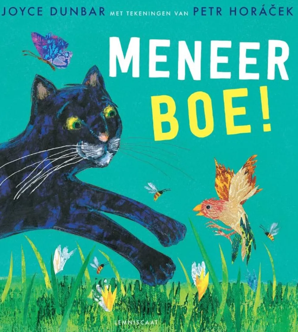 Lemniscaat Meneer Boe!