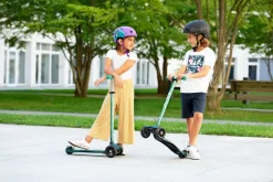 Micro Step Maxi Deluxe ECO