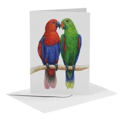 World of Mies MiesToGo Wenskaart Edelpapegaai Duo