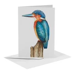 World of Mies MiesToGo Wenskaart IJsvogel