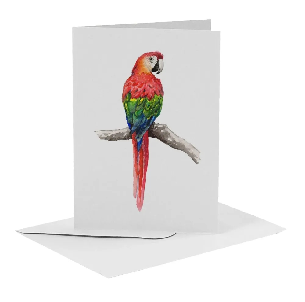 World of Mies MiesToGo Wenskaart Papegaai