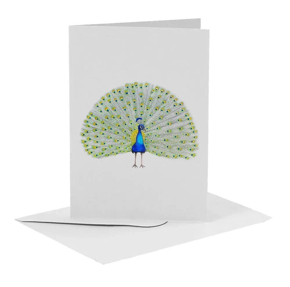 World of Mies MiesToGo Wenskaart Pauw