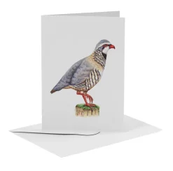 World of Mies MiesToGo Wenskaart Rode Patrijs