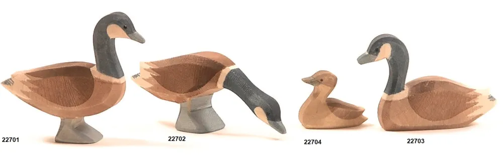 Ostheimer Gans Canadees 22702