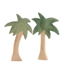 Ostheimer  Mini Palmen Groep 66550