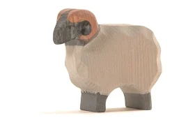 Ostheimer Schaap Ram Heide 11751