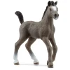 Schleich Selle Français-Veulen