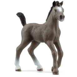 Schleich Selle Français-Veulen