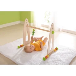 Haba Speeltrainer Kleurenpret