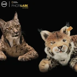 Steiff Knuffel Lynx National Geographic Mizzy 35 cm