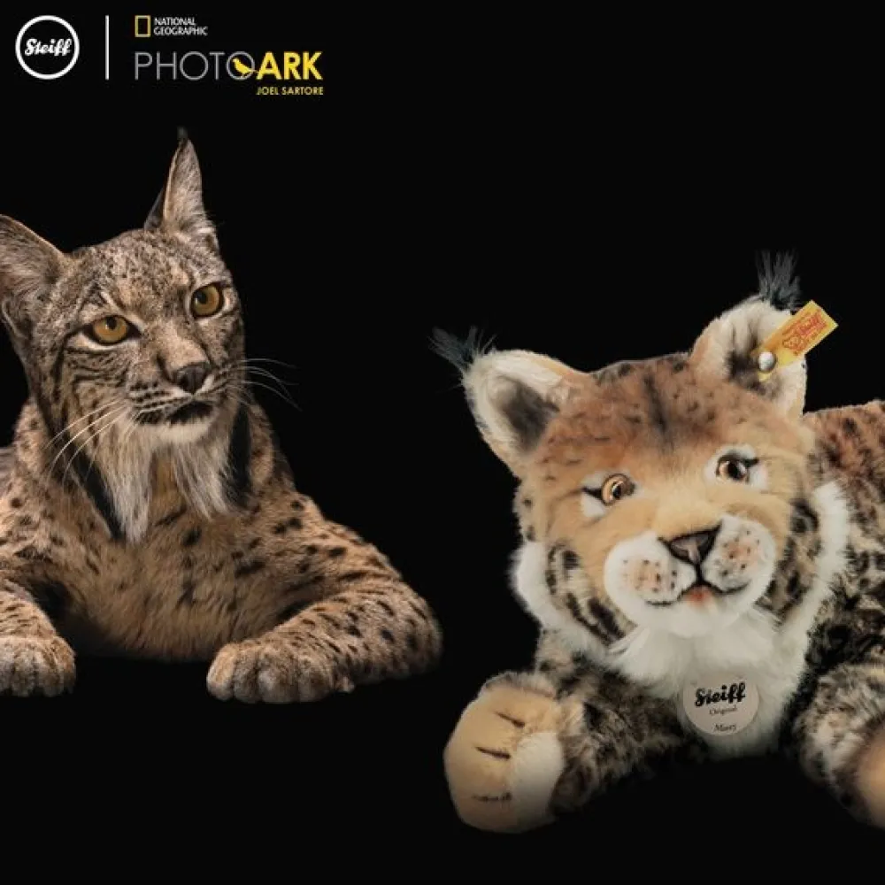 Steiff Knuffel Lynx National Geographic Mizzy 35 cm