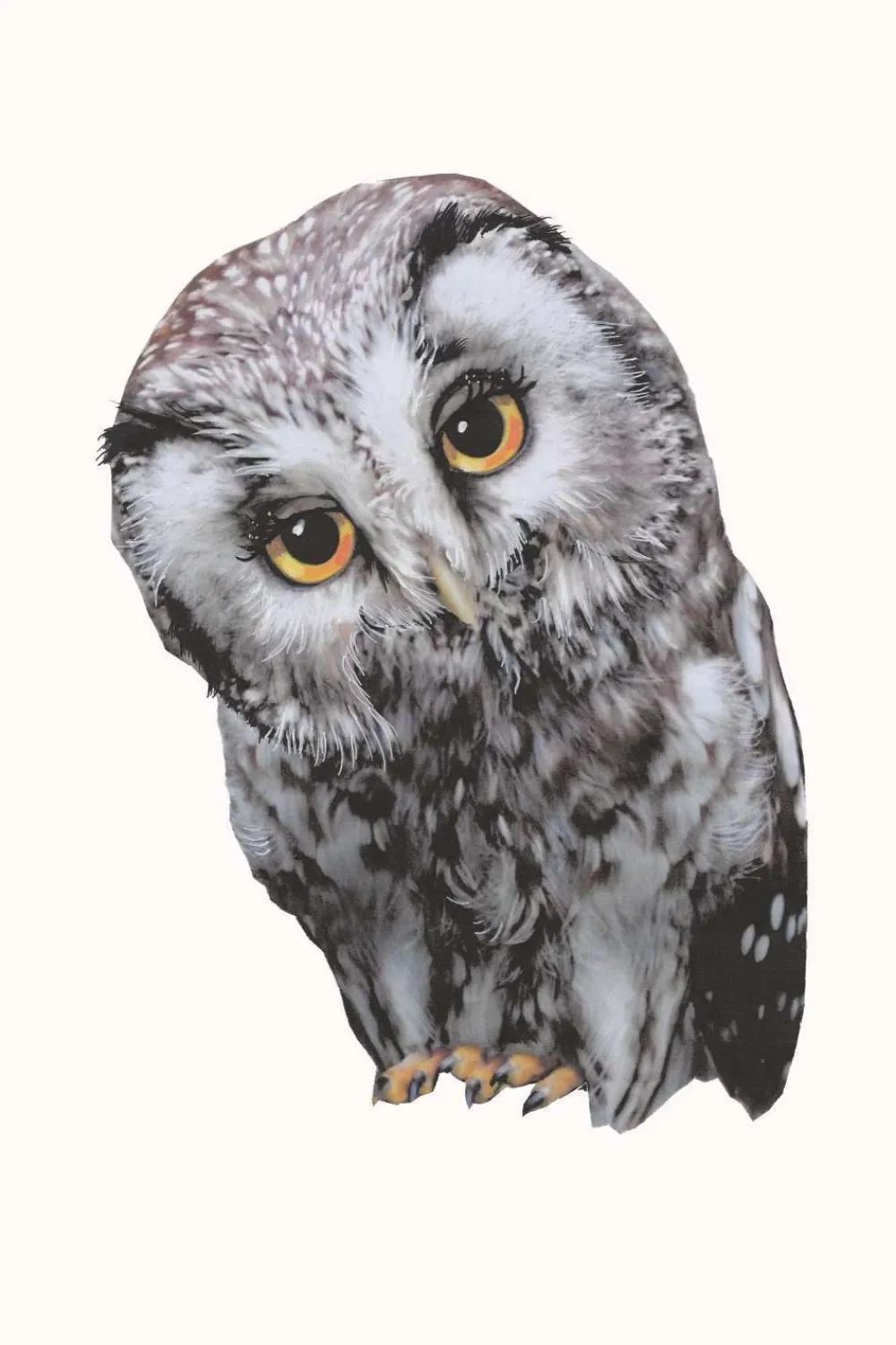 Sticky Tales Muursticker Oehoe de Uil