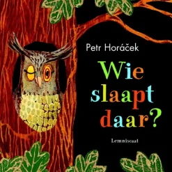 Lemniscaat Wie slaapt daar?