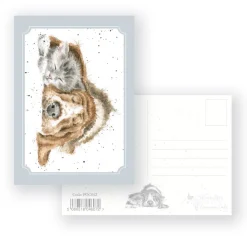Wrendale Designs Dog and Catnap - Postcard