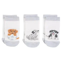 Wrendale Designs Little Paws Baby Socks Set - 0-6 Months